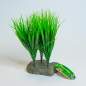 Preview: Lucky Reptile Sumatra Gras (Terrarienpflanze)